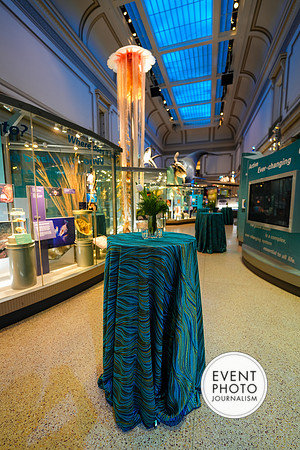 0078__12-8-22_Venture-Global-Holiday-Party-National-Museum-of-Natural-History-Washington-DC-EventPhotojournalism-event-photographers