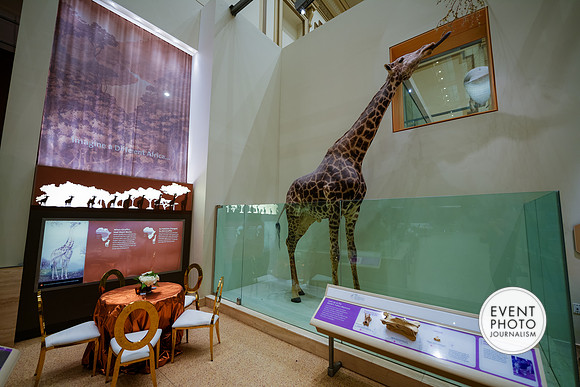 0149__12-8-22_Venture-Global-Holiday-Party-National-Museum-of-Natural-History-Washington-DC-EventPhotojournalism-event-photographers