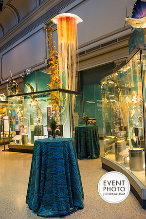 0019__12-8-22_Venture-Global-Holiday-Party-National-Museum-of-Natural-History-Washington-DC-EventPhotojournalism-event-photographers