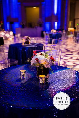 0076__12-8-22_Venture-Global-Holiday-Party-National-Museum-of-Natural-History-Washington-DC-EventPhotojournalism-event-photographers