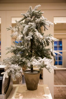 0009__12-6-24_Rock-Creek-Group-Holiday-Party-Hay-Adams-Hotel-Washington-DC-EventPhotojournalism-photographers