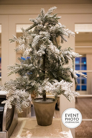0009__12-6-24_Rock-Creek-Group-Holiday-Party-Hay-Adams-Hotel-Washington-DC-EventPhotojournalism-photographers
