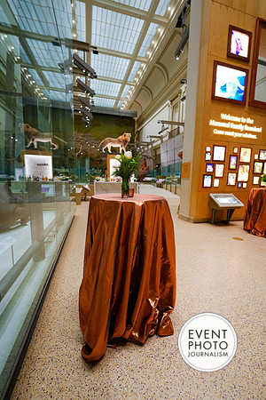 0090__12-8-22_Venture-Global-Holiday-Party-National-Museum-of-Natural-History-Washington-DC-EventPhotojournalism-event-photographers
