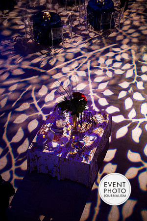 0171__12-8-22_Venture-Global-Holiday-Party-National-Museum-of-Natural-History-Washington-DC-EventPhotojournalism-event-photographers