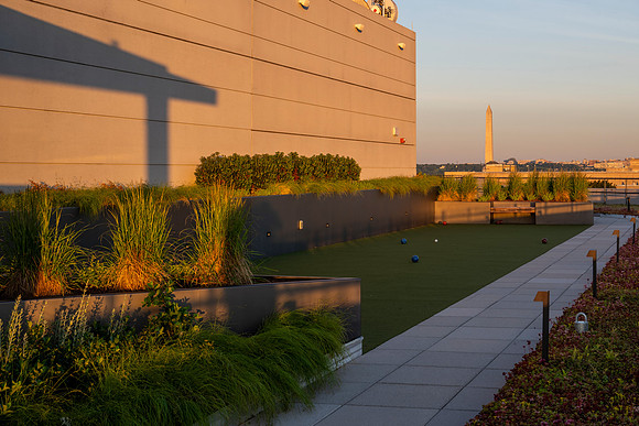 1132_-HDR-2