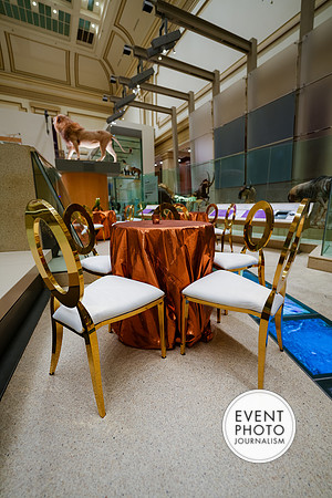 0098__12-8-22_Venture-Global-Holiday-Party-National-Museum-of-Natural-History-Washington-DC-EventPhotojournalism-event-photographers