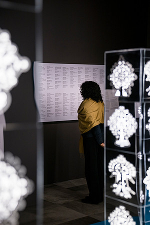 0015__12-13-24_Smithsonian-National-Museum-of-African-Art-Makonnen-Exhibit-EventPhotojournalism-photographers