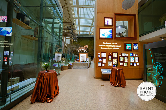 0146__12-8-22_Venture-Global-Holiday-Party-National-Museum-of-Natural-History-Washington-DC-EventPhotojournalism-event-photographers