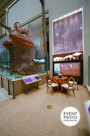 0094__12-8-22_Venture-Global-Holiday-Party-National-Museum-of-Natural-History-Washington-DC-EventPhotojournalism-event-photographers