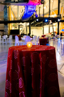 0015_11-19-22__The-Joyce-Agency-40th-Anniversary-Celebration-EventPhotojournalism-event-photographers-Udvar-Hazy-Air-Space-Virginia
