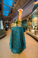 0020__12-8-22_Venture-Global-Holiday-Party-National-Museum-of-Natural-History-Washington-DC-EventPhotojournalism-event-photographers