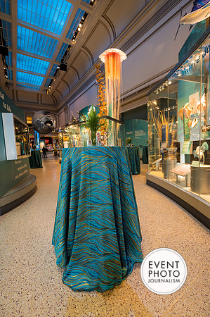 0020__12-8-22_Venture-Global-Holiday-Party-National-Museum-of-Natural-History-Washington-DC-EventPhotojournalism-event-photographers