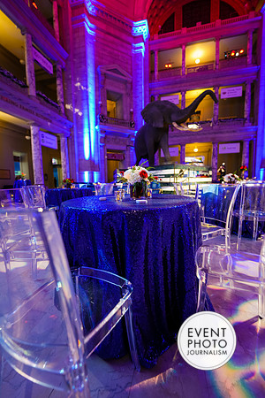 0144__12-8-22_Venture-Global-Holiday-Party-National-Museum-of-Natural-History-Washington-DC-EventPhotojournalism-event-photographers