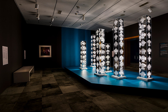 0021__12-13-24_Smithsonian-National-Museum-of-African-Art-Makonnen-Exhibit-EventPhotojournalism-photographers