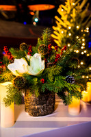 0699_12-2-23_Verisign-Holiday-Party-Udvar-Hazy-Air-Space-Museum-Virginia-EventPhotojournalism-event-photographers