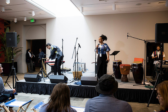 0082H_3-29-25_Smithsonian-Museum-of-African-Art-Cheikh-Ibra-Fam-Concert-Event-Photojournalism