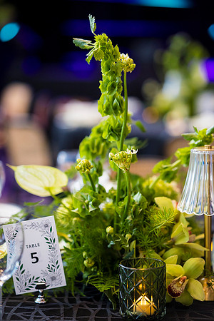 0071_7-24-25_MC&A-Room-Decor-Shoot_Capital-One-Hall-Tysons-Virginia-Event-Photojournalism-photography