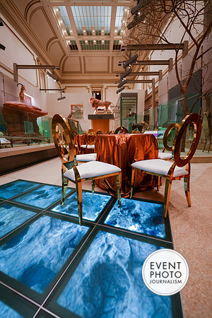 0151__12-8-22_Venture-Global-Holiday-Party-National-Museum-of-Natural-History-Washington-DC-EventPhotojournalism-event-photographers