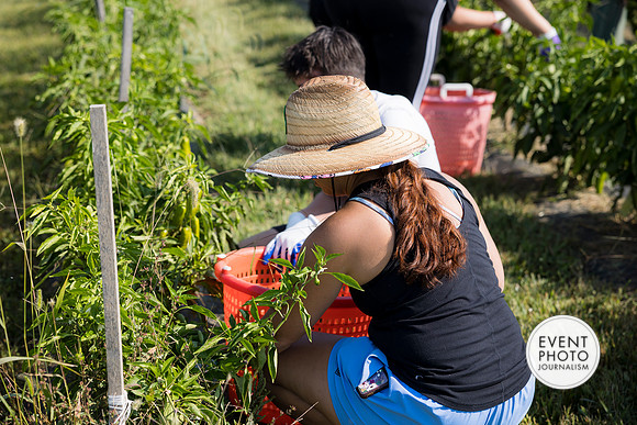 0180__9-14-24-Chartis-Federal-Corporate-Family-Day-JK-Farm-Purceville-Virginia-EventPhotojournalism-event-photographers