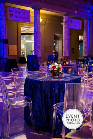 0053__12-8-22_Venture-Global-Holiday-Party-National-Museum-of-Natural-History-Washington-DC-EventPhotojournalism-event-photographers