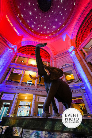 0046__12-8-22_Venture-Global-Holiday-Party-National-Museum-of-Natural-History-Washington-DC-EventPhotojournalism-event-photographers