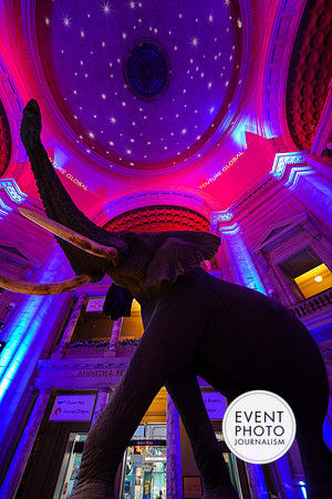 0140__12-8-22_Venture-Global-Holiday-Party-National-Museum-of-Natural-History-Washington-DC-EventPhotojournalism-event-photographers