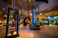 0016__12-8-22_Venture-Global-Holiday-Party-National-Museum-of-Natural-History-Washington-DC-EventPhotojournalism-event-photographers