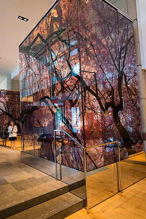 0213__5-13-25_Hyatt-Week-Park-Hyatt-Washington-DC-Event-Photojournalism-photography