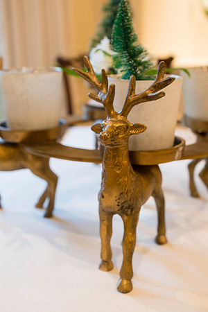 014__12-18-24_The-Hay-Adams-Hotel-Washington-DC-Photographers-EventPhotojournalism-photography