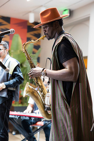 0361H_3-29-25_Smithsonian-Museum-of-African-Art-Cheikh-Ibra-Fam-Concert-Event-Photojournalism