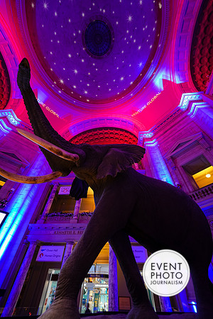 0142__12-8-22_Venture-Global-Holiday-Party-National-Museum-of-Natural-History-Washington-DC-EventPhotojournalism-event-photographers