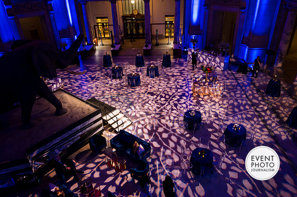 0158__12-8-22_Venture-Global-Holiday-Party-National-Museum-of-Natural-History-Washington-DC-EventPhotojournalism-event-photographers