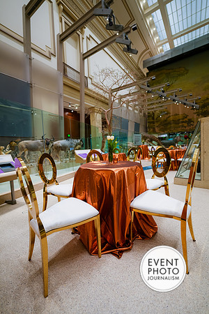 0150__12-8-22_Venture-Global-Holiday-Party-National-Museum-of-Natural-History-Washington-DC-EventPhotojournalism-event-photographers
