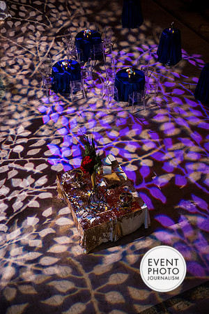 0042__12-8-22_Venture-Global-Holiday-Party-National-Museum-of-Natural-History-Washington-DC-EventPhotojournalism-event-photographers
