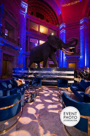 0342__12-8-22_Venture-Global-Holiday-Party-National-Museum-of-Natural-History-Washington-DC-EventPhotojournalism-event-photographers