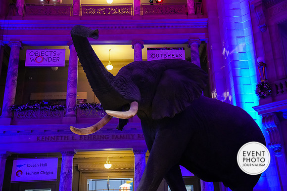 0363__12-8-22_Venture-Global-Holiday-Party-National-Museum-of-Natural-History-Washington-DC-EventPhotojournalism-event-photographers