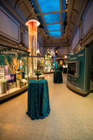 0012__12-8-22_Venture-Global-Holiday-Party-National-Museum-of-Natural-History-Washington-DC-EventPhotojournalism-event-photographers