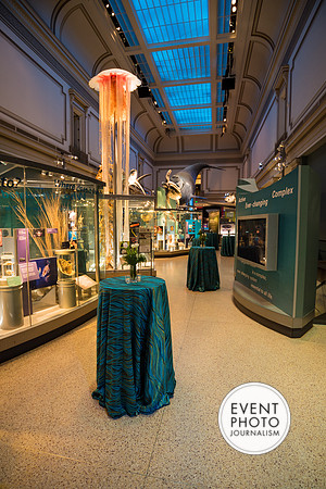 0012__12-8-22_Venture-Global-Holiday-Party-National-Museum-of-Natural-History-Washington-DC-EventPhotojournalism-event-photographers