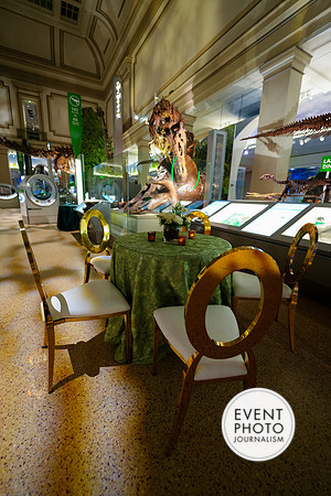 0060__12-8-22_Venture-Global-Holiday-Party-National-Museum-of-Natural-History-Washington-DC-EventPhotojournalism-event-photographers