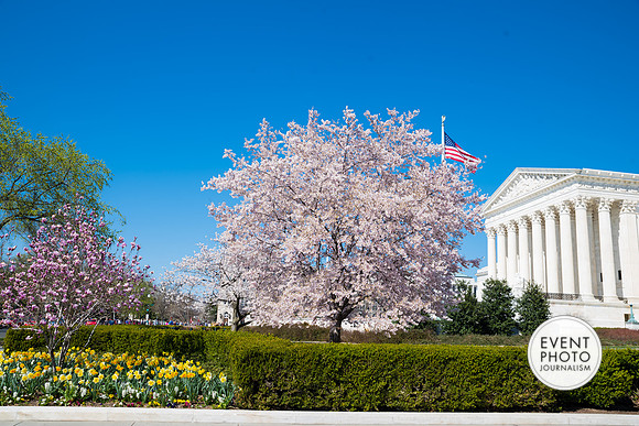 1623__4-2-19-2019-USHCC-Legislative-Summit-Capitol-Hill-Building-Washington-DC-Event-Photojournalism-conference-photographers
