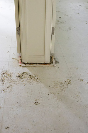0114_5-22-25_Corvias-VIP-Military-Housing-Tour-Fort-Meade-Maryland-Event-Photojournalism