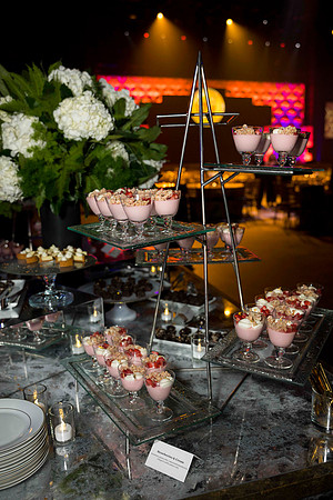 4720_5-9-24_NIHF-The-Anthem-Washington-DC-event-photographers-Eventphotojournalism