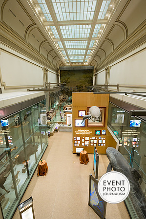 0045__12-8-22_Venture-Global-Holiday-Party-National-Museum-of-Natural-History-Washington-DC-EventPhotojournalism-event-photographers