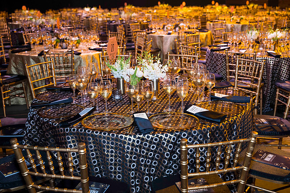 0001_5-9-24_NIHF-The-Anthem-Washington-DC-event-photographers-Eventphotojournalism