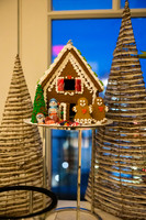 0006__12-6-24_Rock-Creek-Group-Holiday-Party-Hay-Adams-Hotel-Washington-DC-EventPhotojournalism-photographers