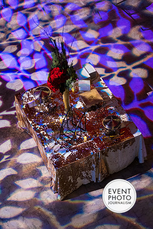 0044__12-8-22_Venture-Global-Holiday-Party-National-Museum-of-Natural-History-Washington-DC-EventPhotojournalism-event-photographers