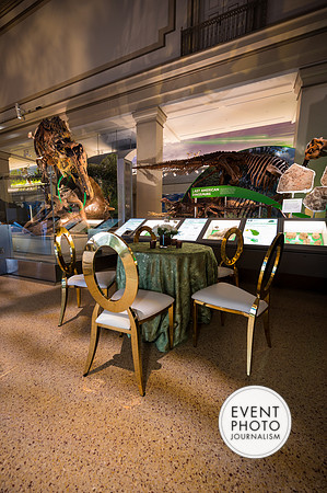 0008__12-8-22_Venture-Global-Holiday-Party-National-Museum-of-Natural-History-Washington-DC-EventPhotojournalism-event-photographers
