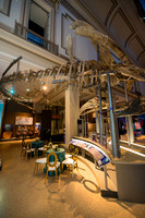 0014__12-8-22_Venture-Global-Holiday-Party-National-Museum-of-Natural-History-Washington-DC-EventPhotojournalism-event-photographers