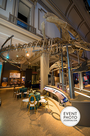 0014__12-8-22_Venture-Global-Holiday-Party-National-Museum-of-Natural-History-Washington-DC-EventPhotojournalism-event-photographers