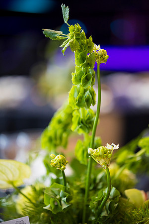 0070_7-24-25_MC&A-Room-Decor-Shoot_Capital-One-Hall-Tysons-Virginia-Event-Photojournalism-photography